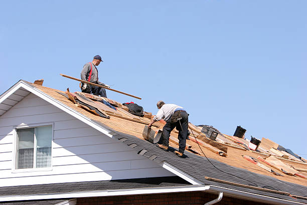 Best Storm Damage Roof Repair  in Fowlkes, TN